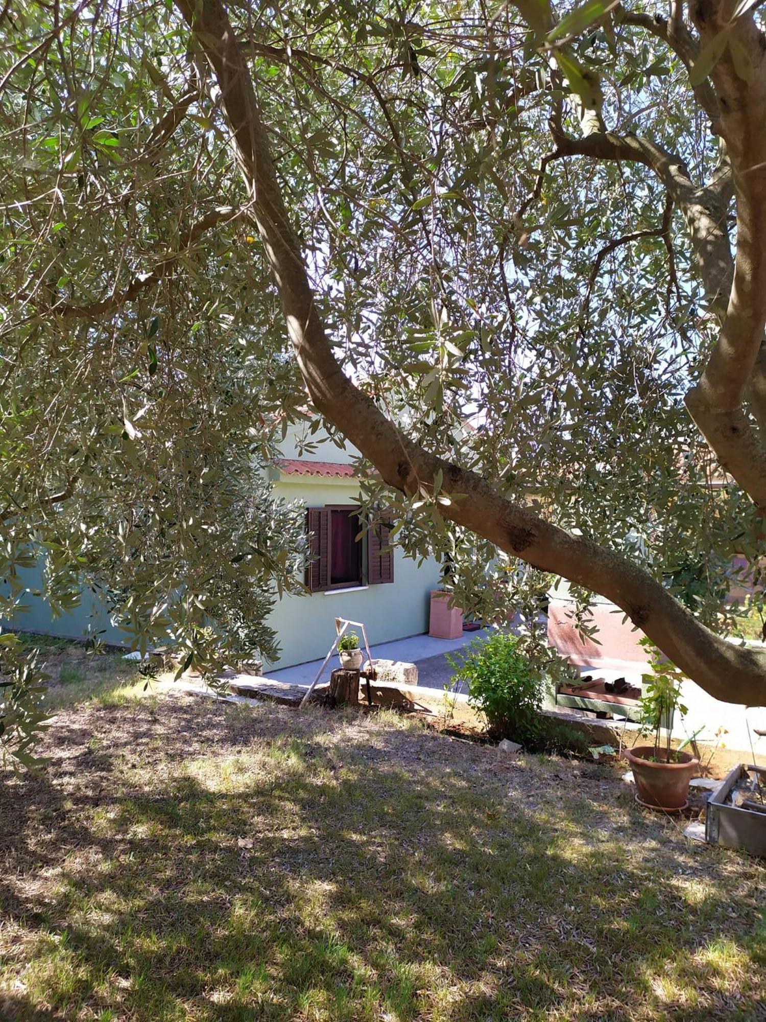 Apartmani Tara Medulin Exterior foto